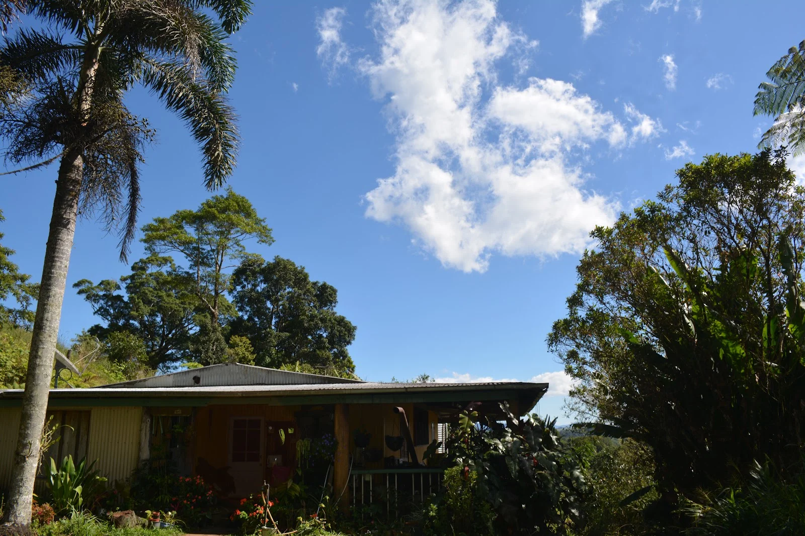 Additional image 14 of 581 Theresa Creek Road, Millaa Millaa QLD 4886