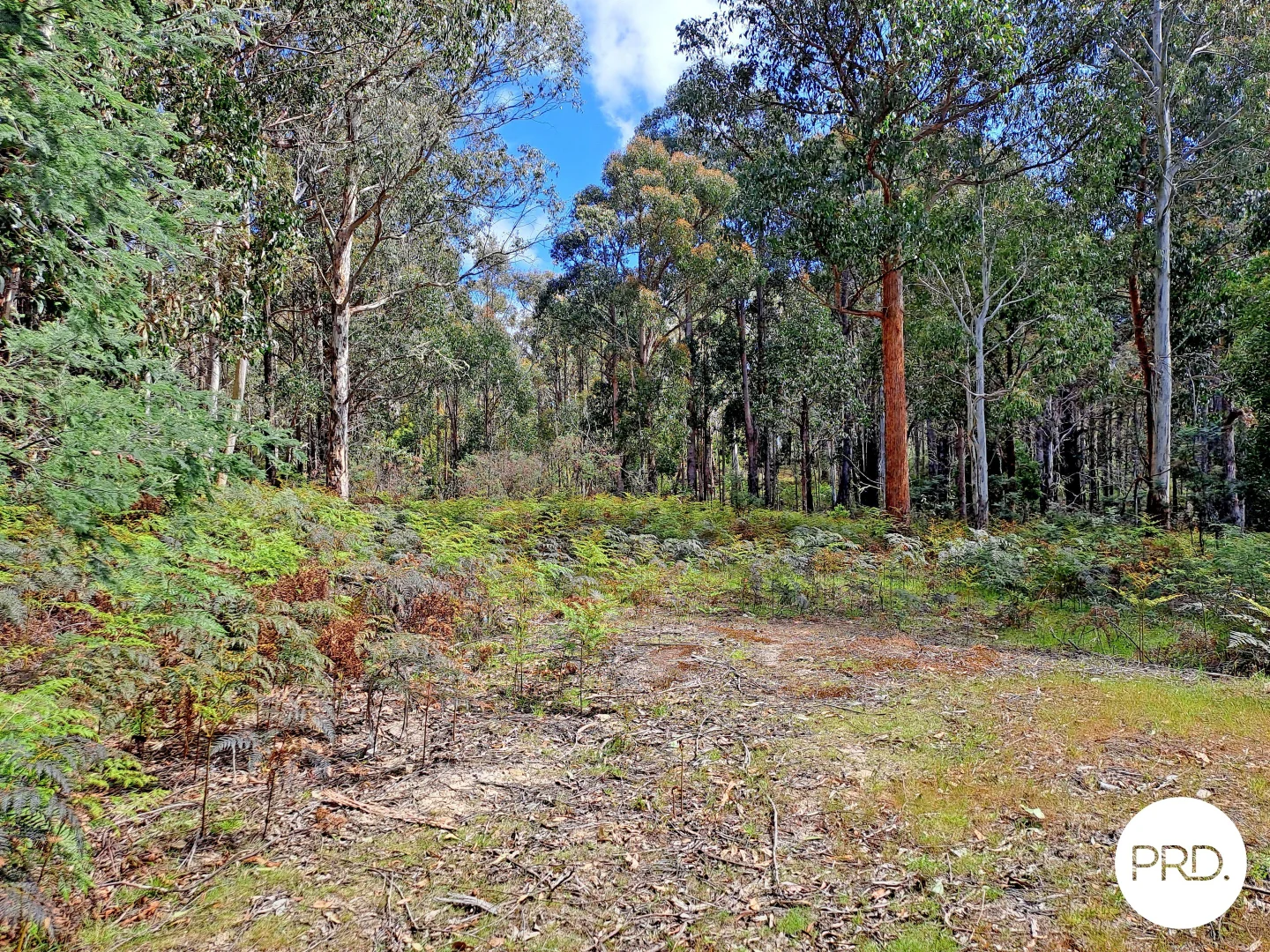 Additional image 8 of Lot 1 Ellendale Road, Ellendale TAS 7140