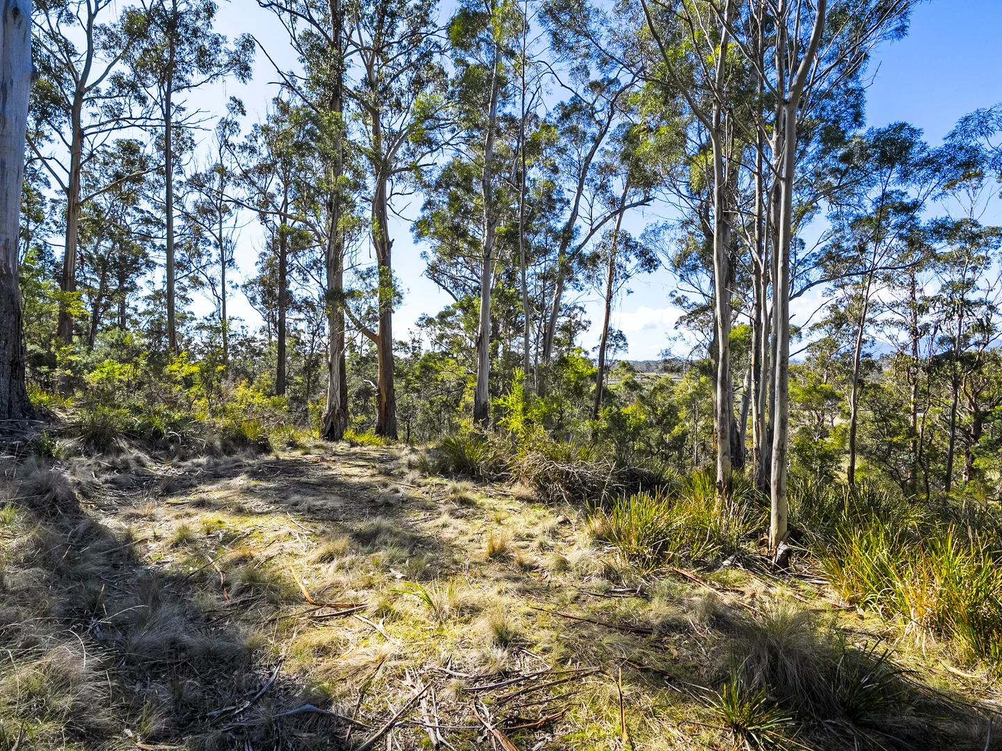 Additional image 18 of 196 Alma Road, Orford TAS 7190