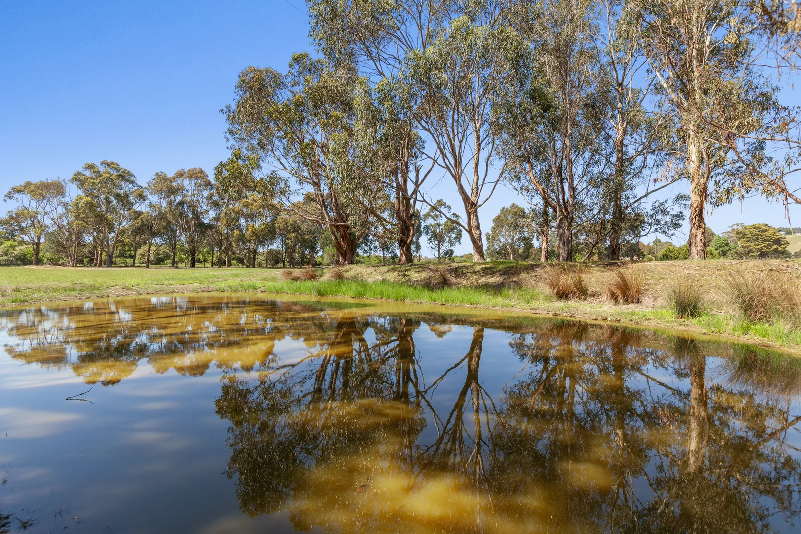 Additional image 14 of 1180 Wallan Whittlesea Road, Upper Plenty VIC 3756