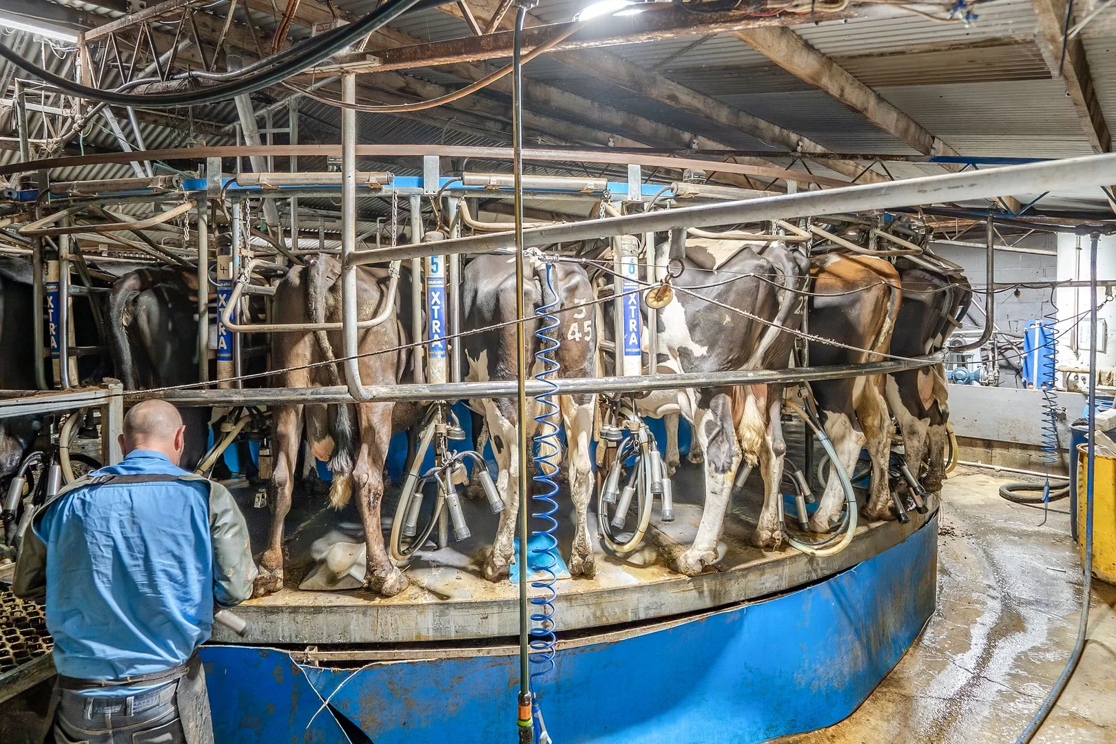 Additional image 15 of 170 Cobden Port Campbell Road, Scotts Creek VIC 3267