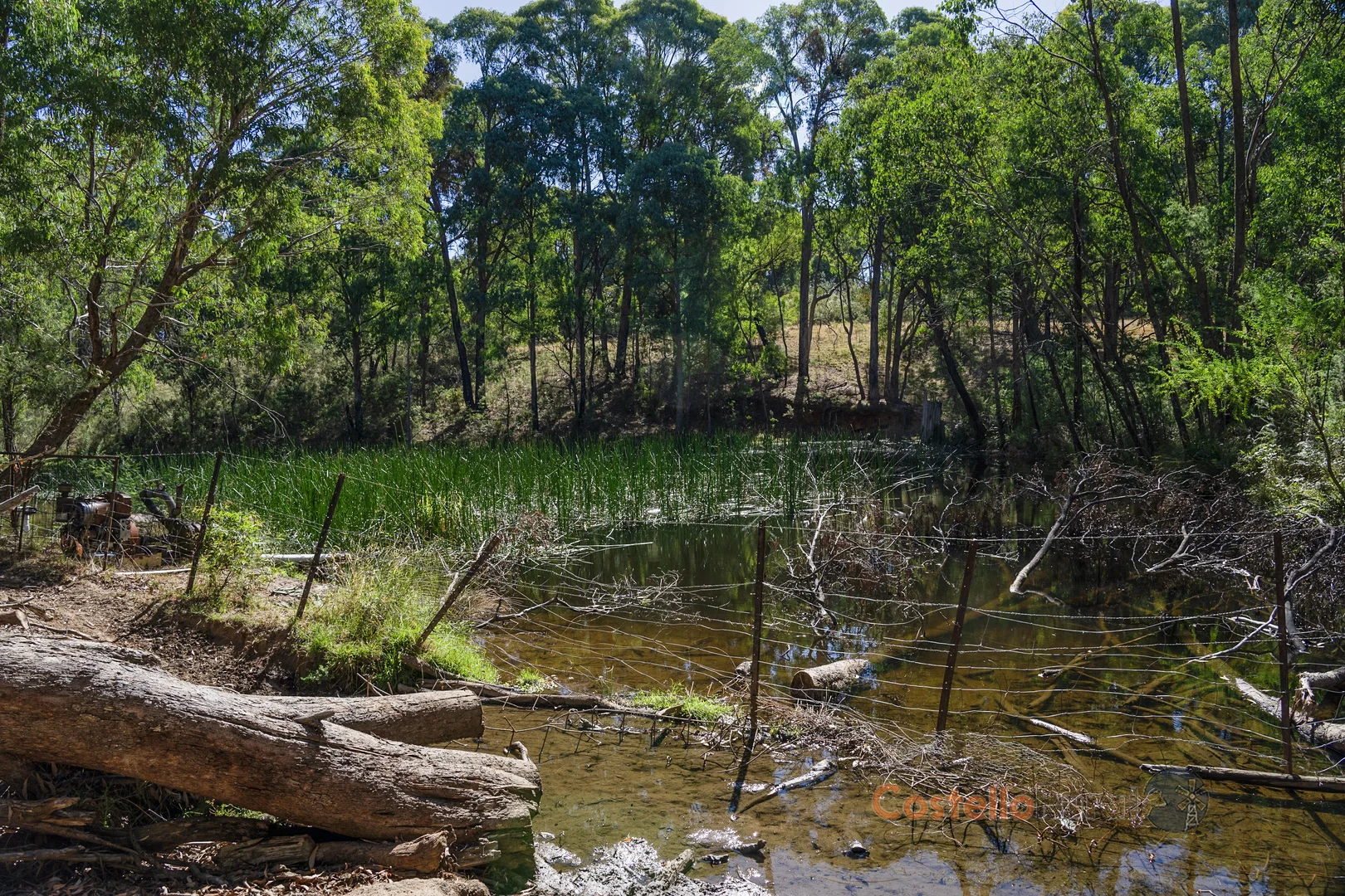 Additional image 3 of 195 Willigobung Road, Willigobung NSW 2653