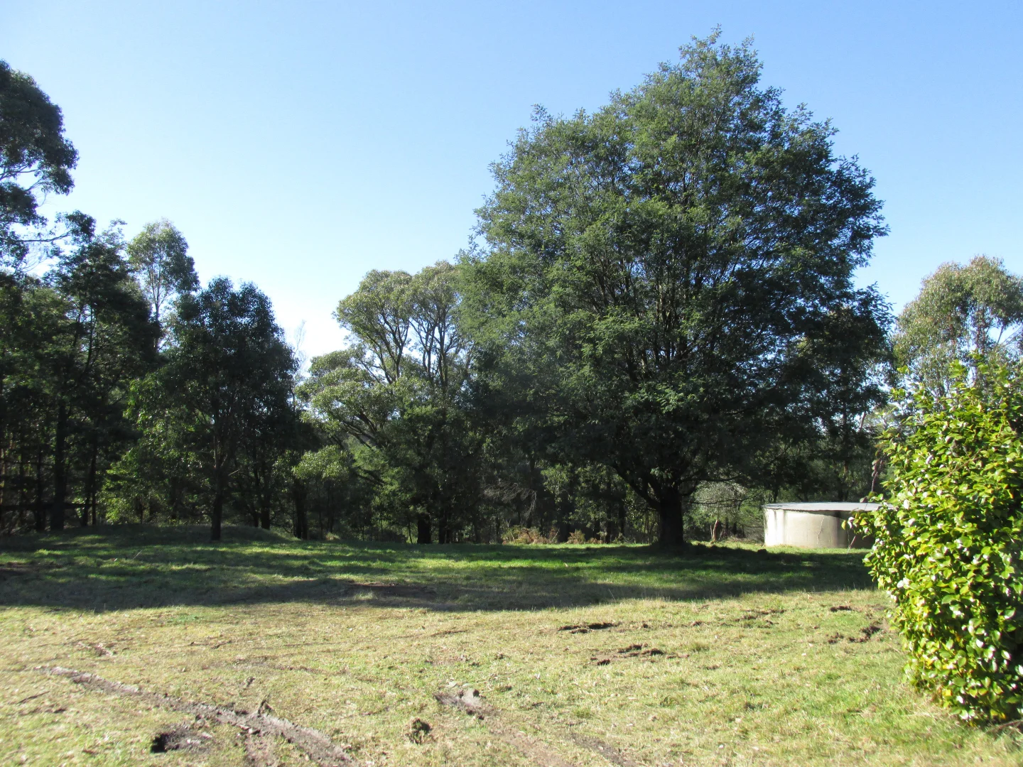 Additional image 11 of 316 Whittlesea-Kinglake Road, Kinglake Central VIC 3757