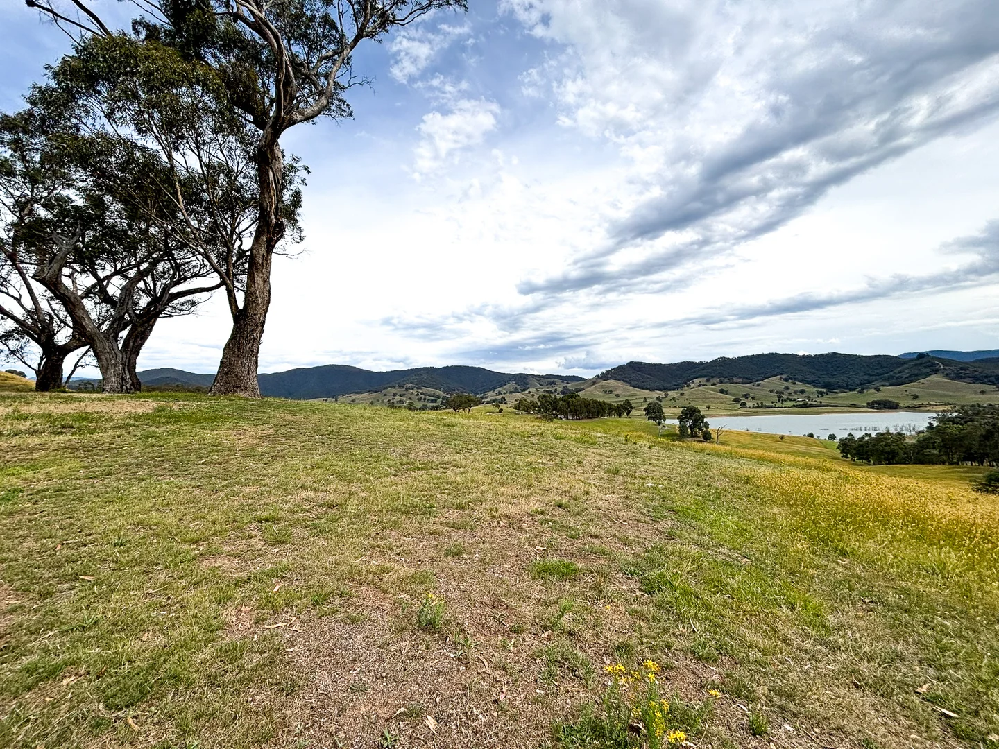 Additional image 3 of 2096 Mansfield-Woods Point Road, Macs Cove VIC 3723