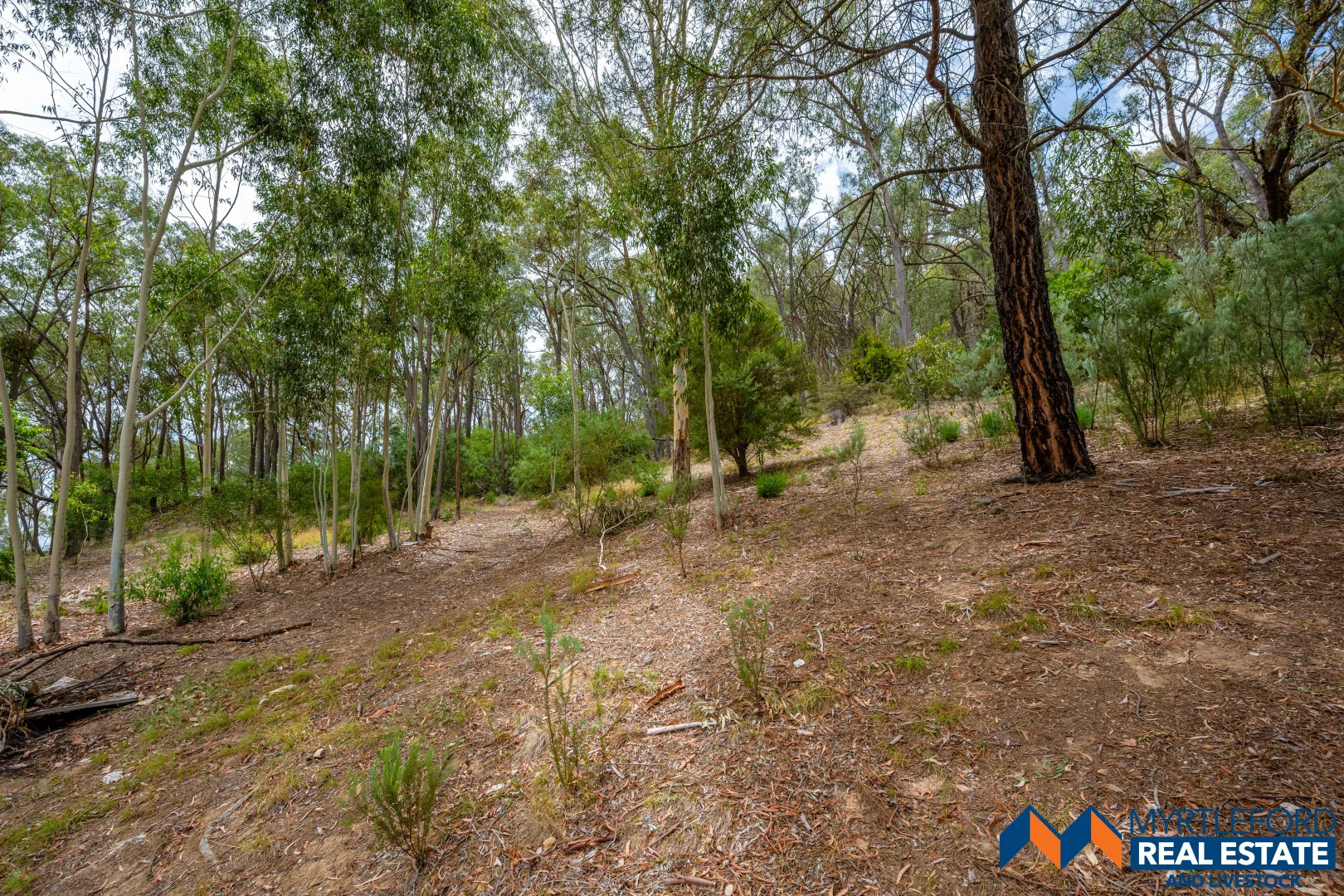 Additional image 10 of 323 Buffalo River Road, Myrtleford VIC 3737
