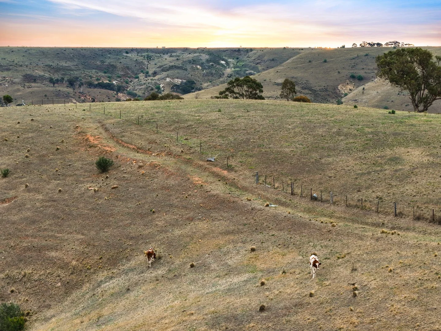 Additional image 62 of 36 Dicksons Road, Pentland Hills VIC 3341