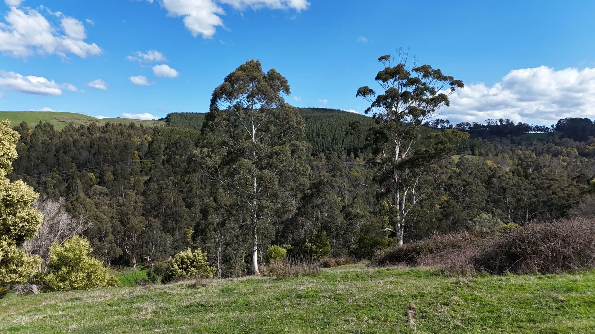 Additional image 26 of 141 BUNDERRA DRIVE, Boolarra VIC 3870