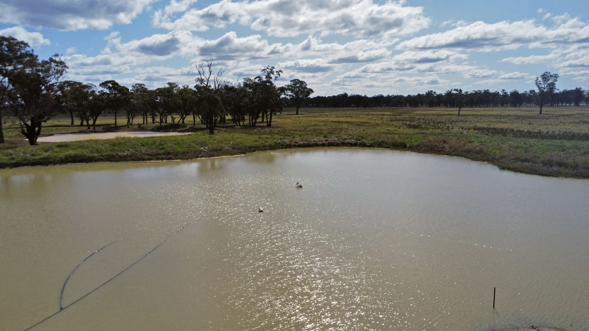 Additional image 27 of 1843 Yeo Yeo Hampstead Road, Young NSW 2594