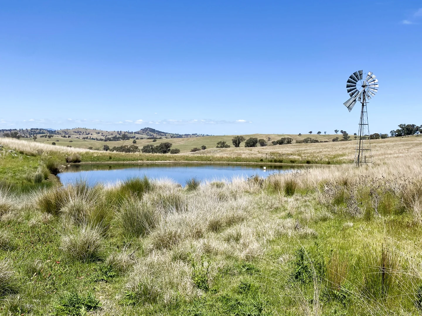 Additional image 23 of 250 Emu Creek Road, Canowindra NSW 2804