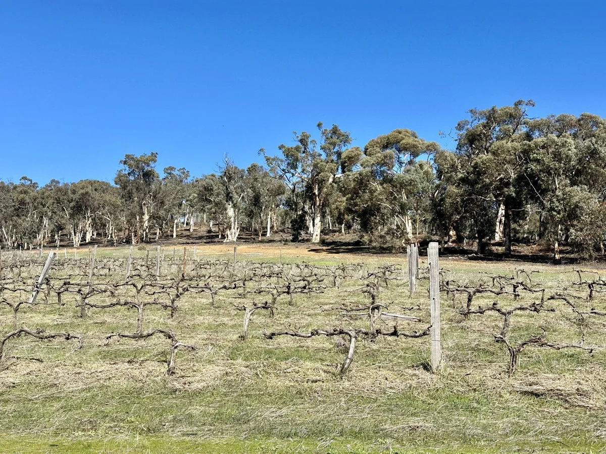 Additional image 48 of 586 Wandering-Pingelly Road, Wandering WA 6308