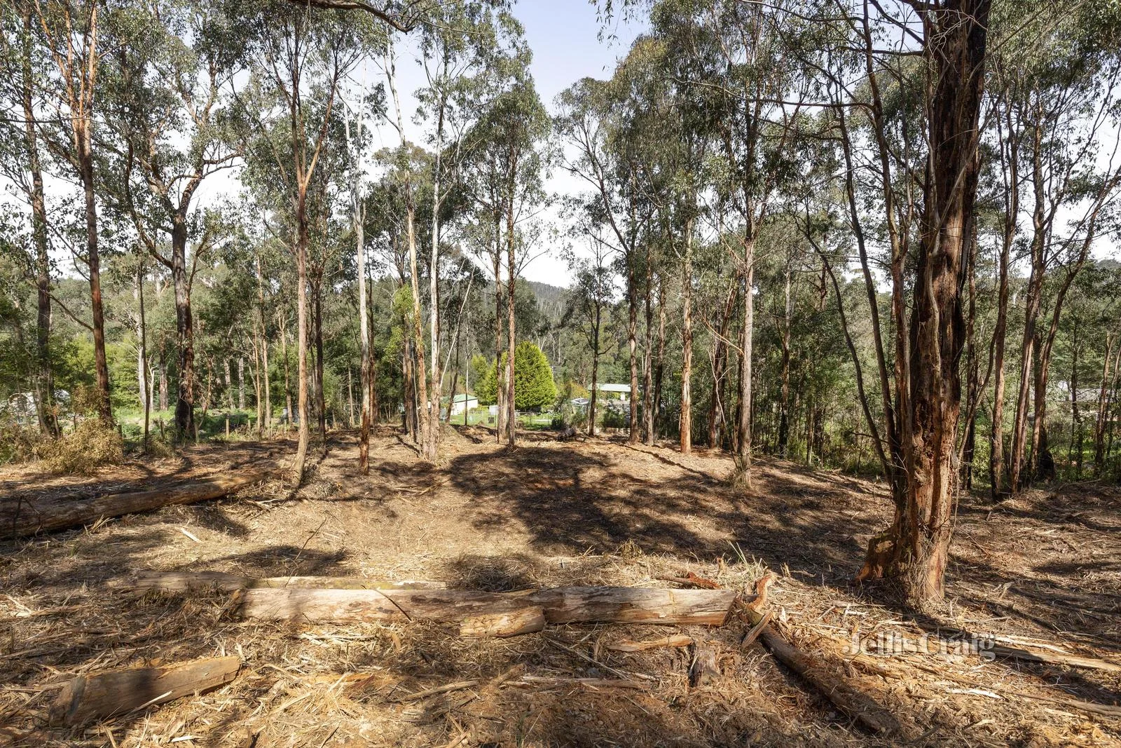 Additional image 3 of 37 Silver Parrot Road, Flowerdale VIC 3717