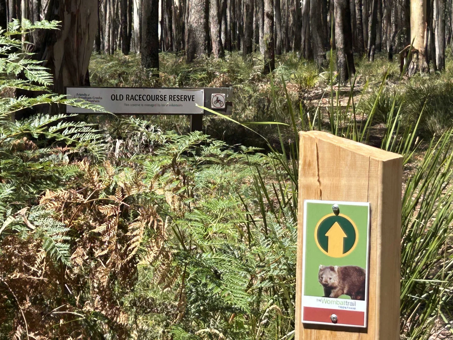 Additional image 14 of 18 Golden Point Road, Trentham VIC 3458