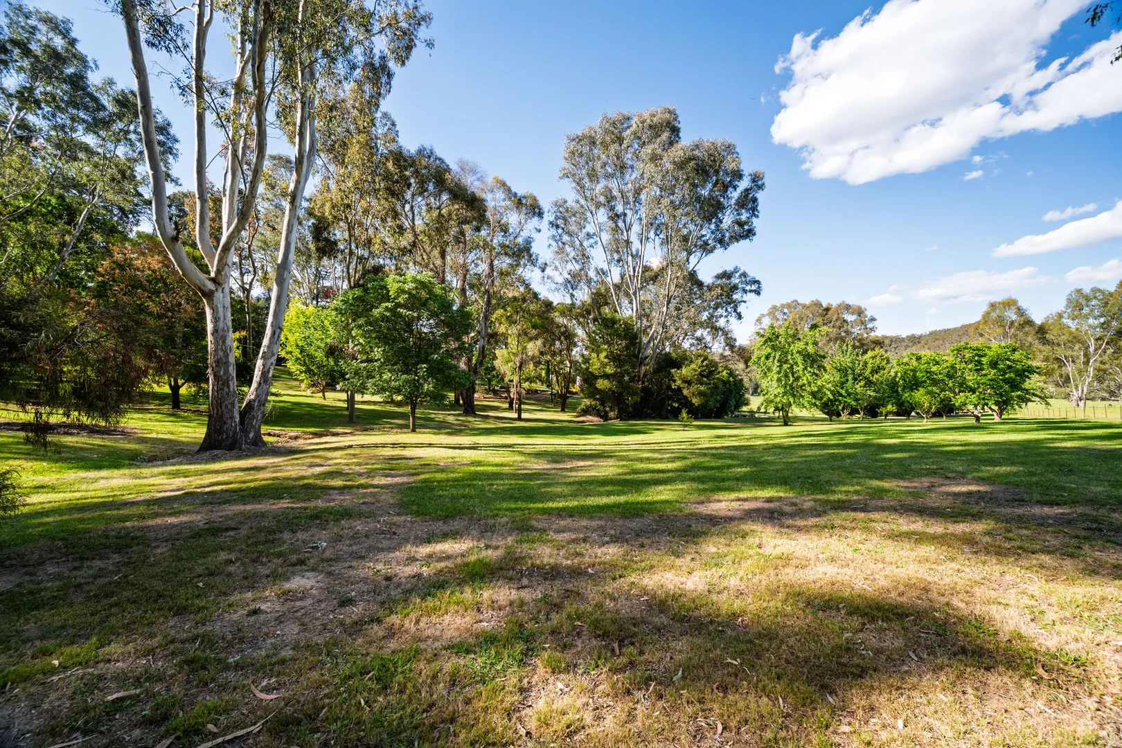 Additional image 26 of 411 Buffalo Creek Road, Myrtleford VIC 3737