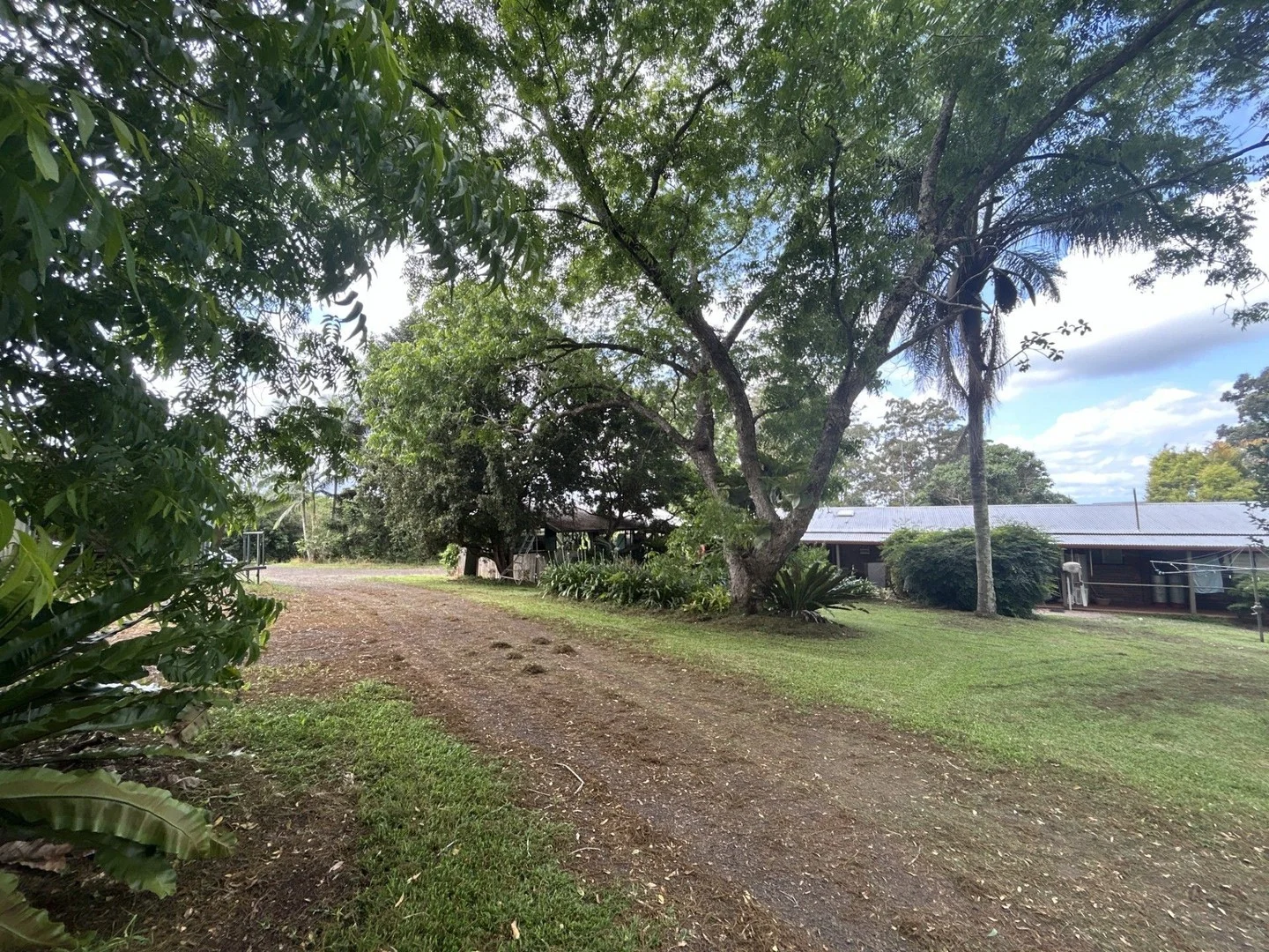 Numulgi NSW 2480