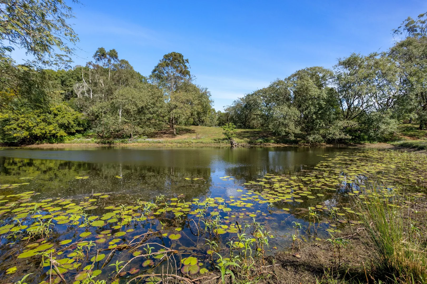 Additional image 17 of 855 Campbells Pocket Road, Campbells Pocket QLD 4521