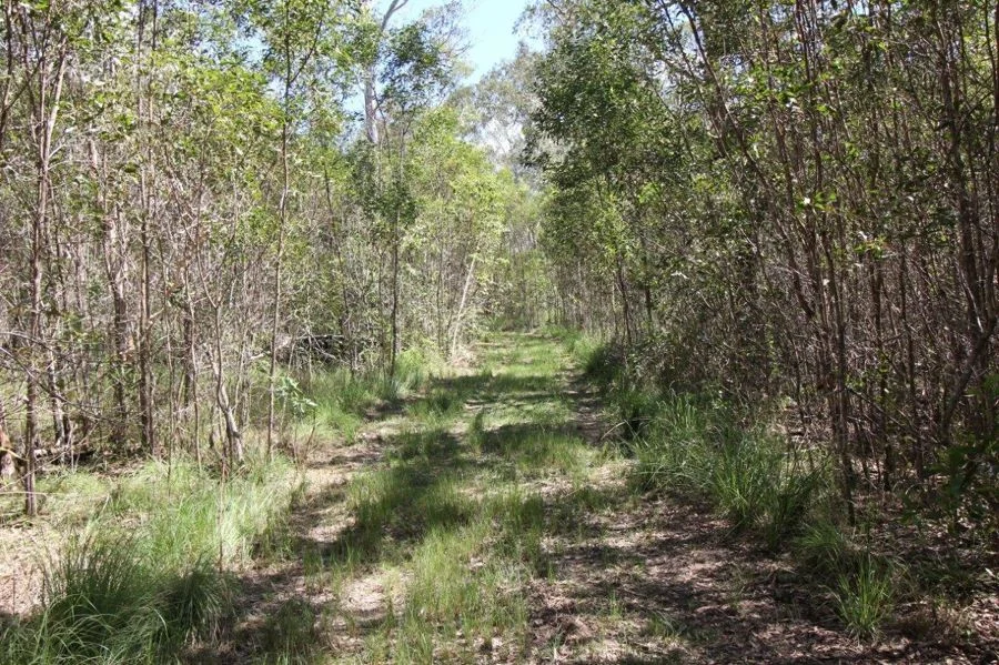 Additional image 31 of 780 Capricornia Drive, Deepwater QLD 4674