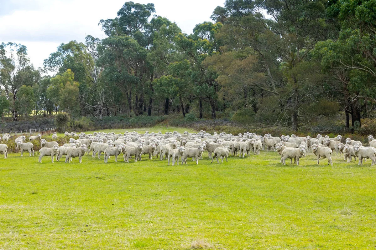 Additional image 6 of 149 Kellys Road, Grenville VIC 3352