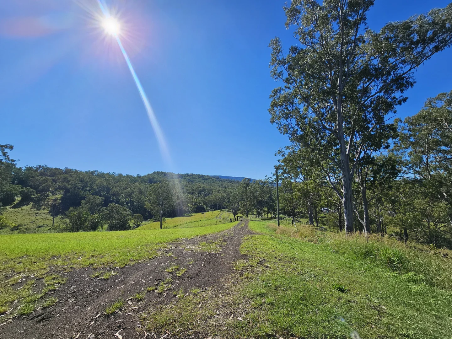 Additional image 19 of 2425 Pine Creek Road, Kyogle NSW 2474