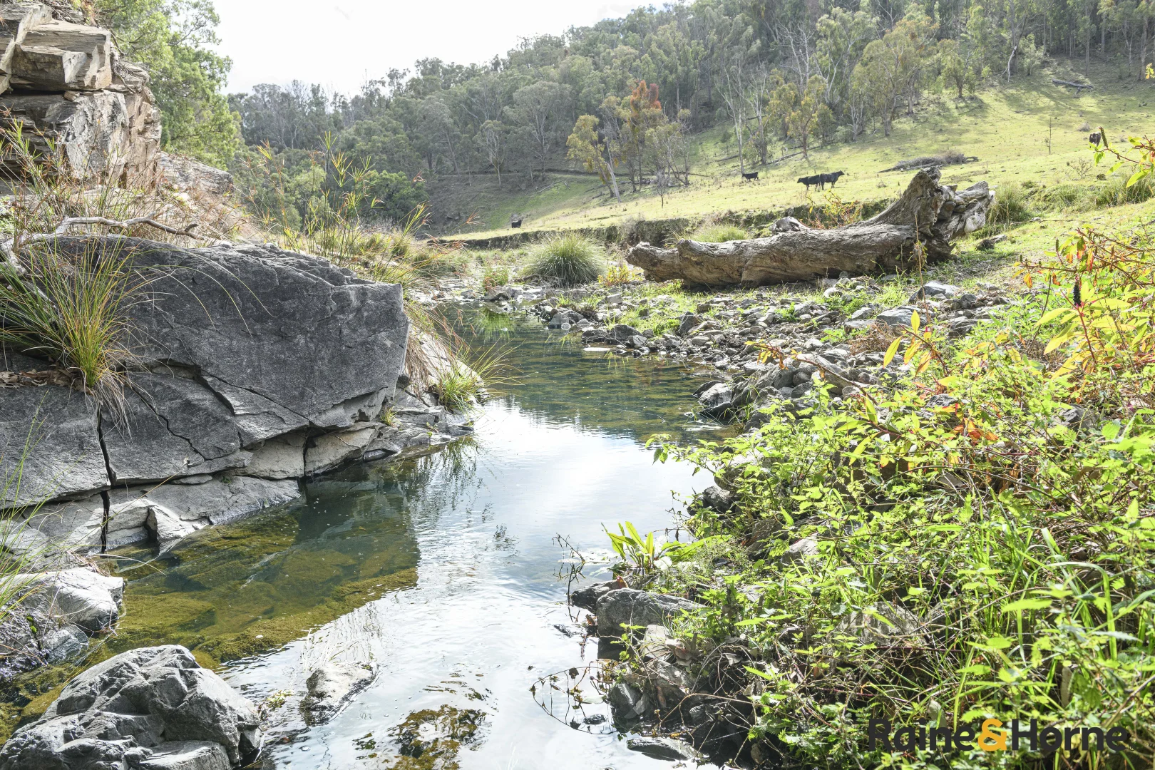 Additional image 9 of Lot 2/2553 Campfire Road, Walcha NSW 2354