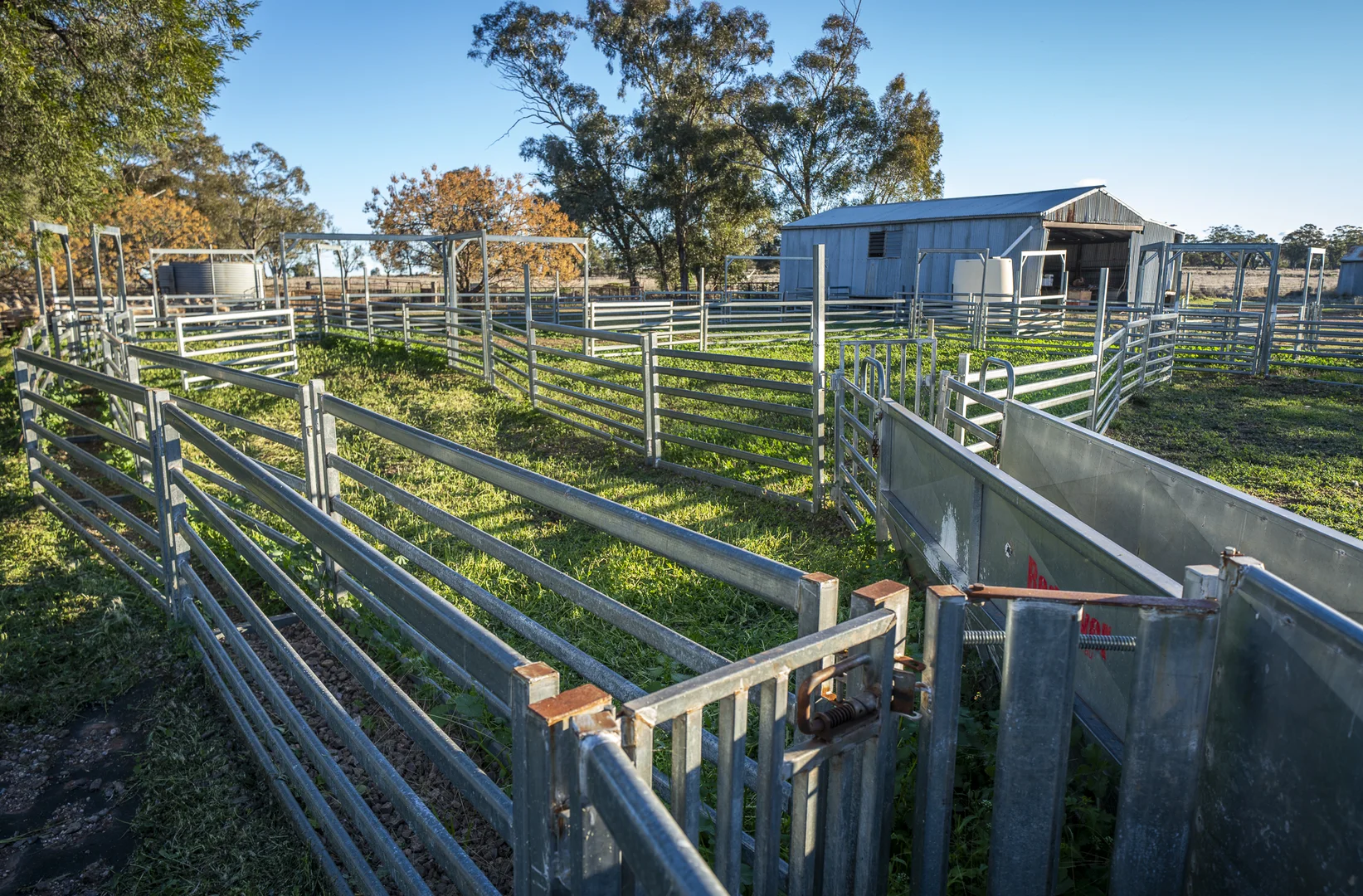 Additional image 4 of Ashford Heath 47 Adios Lane, Bogan Gate NSW 2876