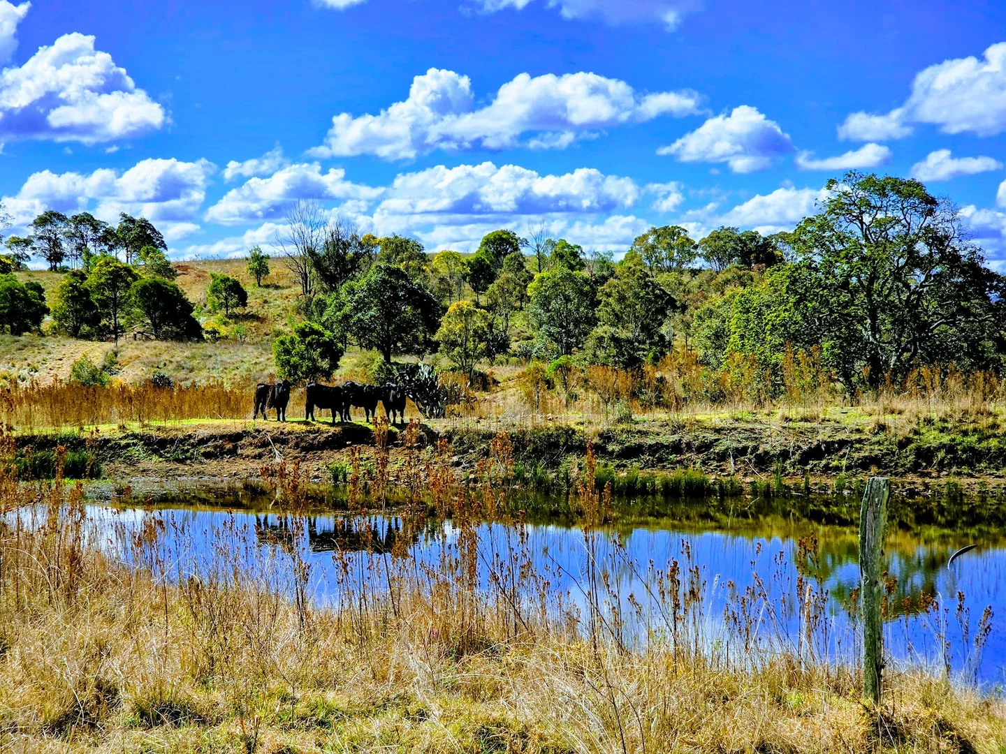 Additional image 18 of Lot 1 and Lot 5 Bald Hills Road, Plainby QLD 4355