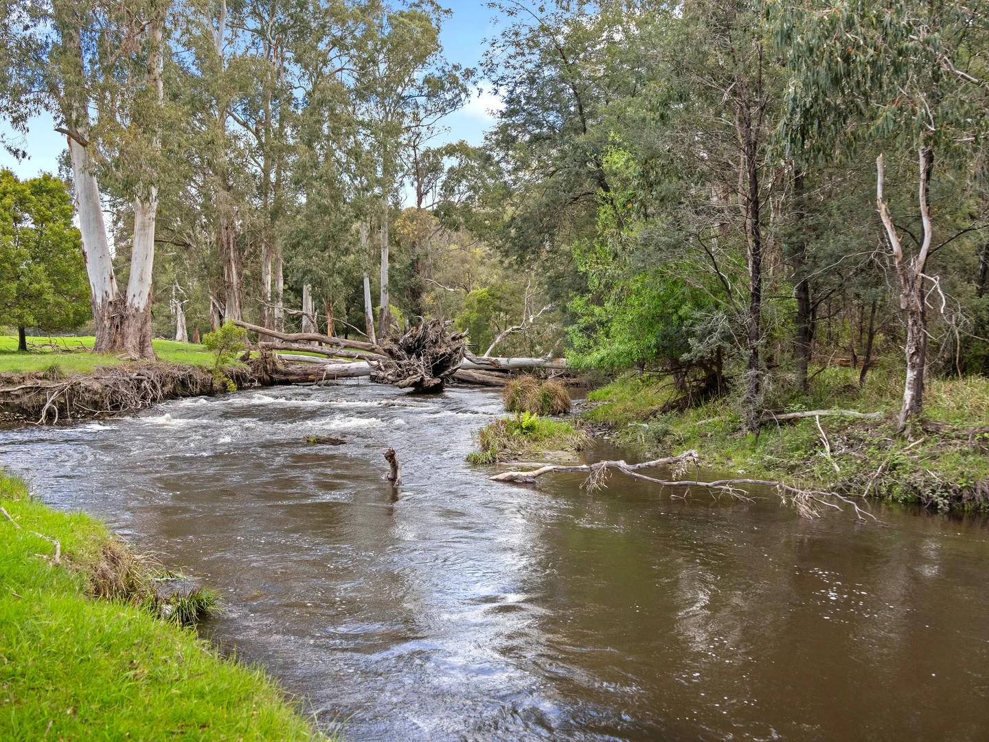 Additional image 12 of 2339 Maroondah Highway, Buxton VIC 3711