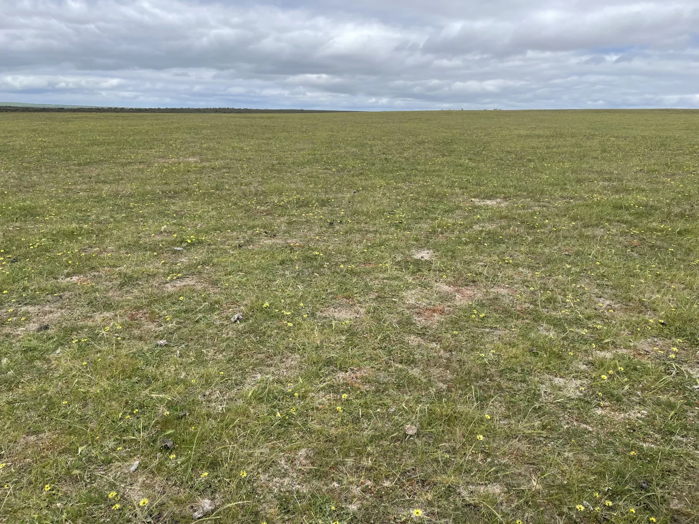 Additional image 7 of Lot 100 First North Road, Kadathinni WA 6519