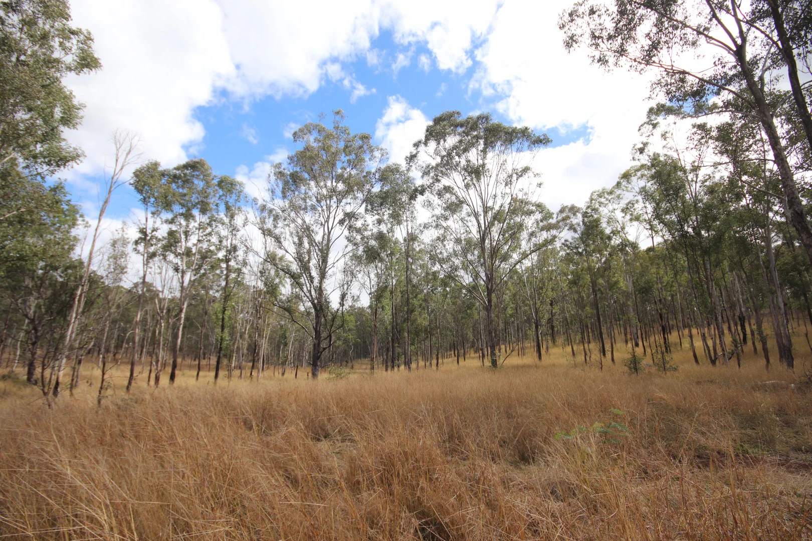 Additional image 9 of Lot 114 Kerwee Road, Eidsvold QLD 4627