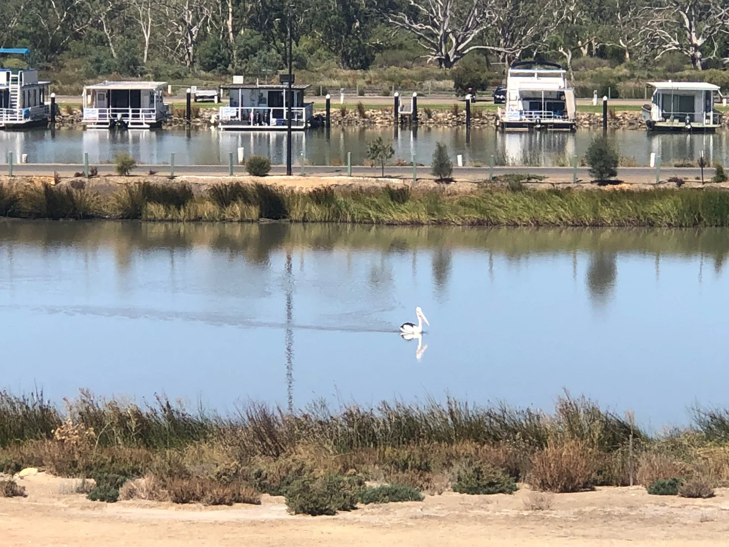 Additional image 4 of Allotments Honeyeater Drive, Mannum SA 5238