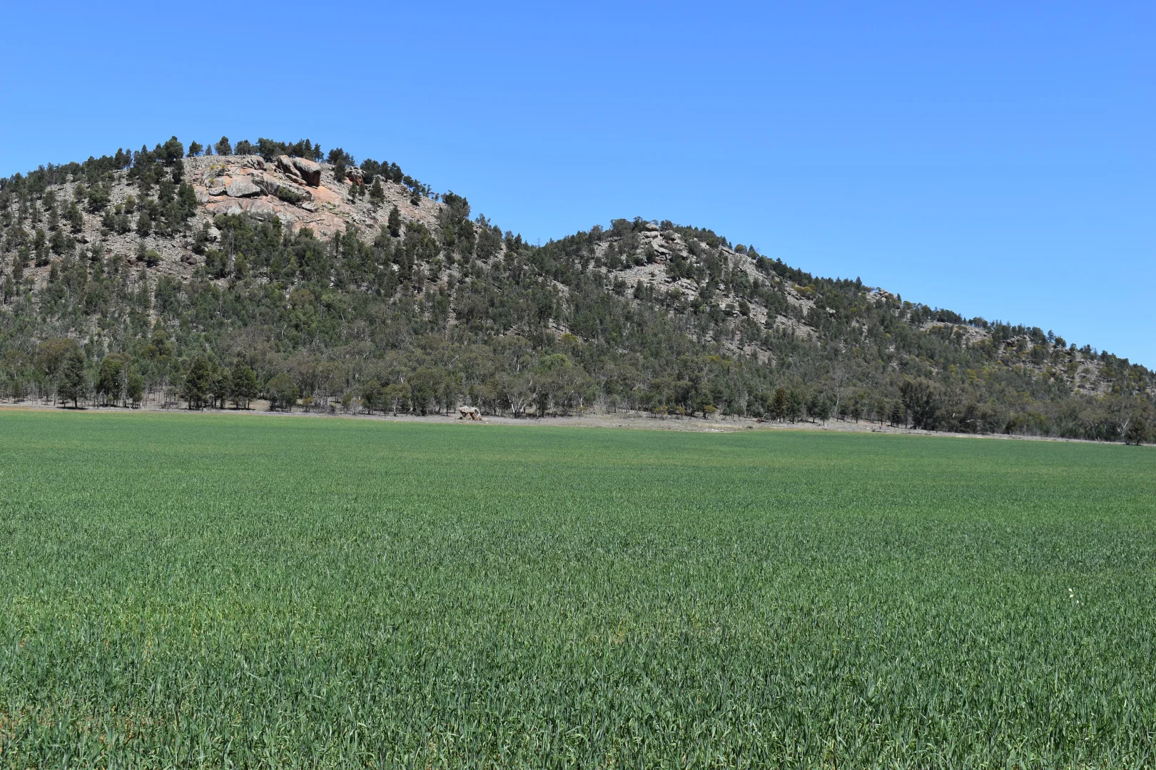 Additional image 15 of 120 Ganantagi Road, Yarrabandai NSW 2875