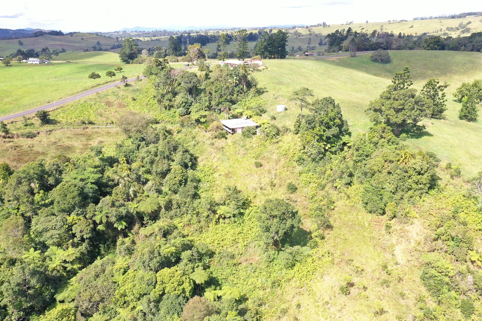 Additional image 10 of 581 Theresa Creek Road, Millaa Millaa QLD 4886