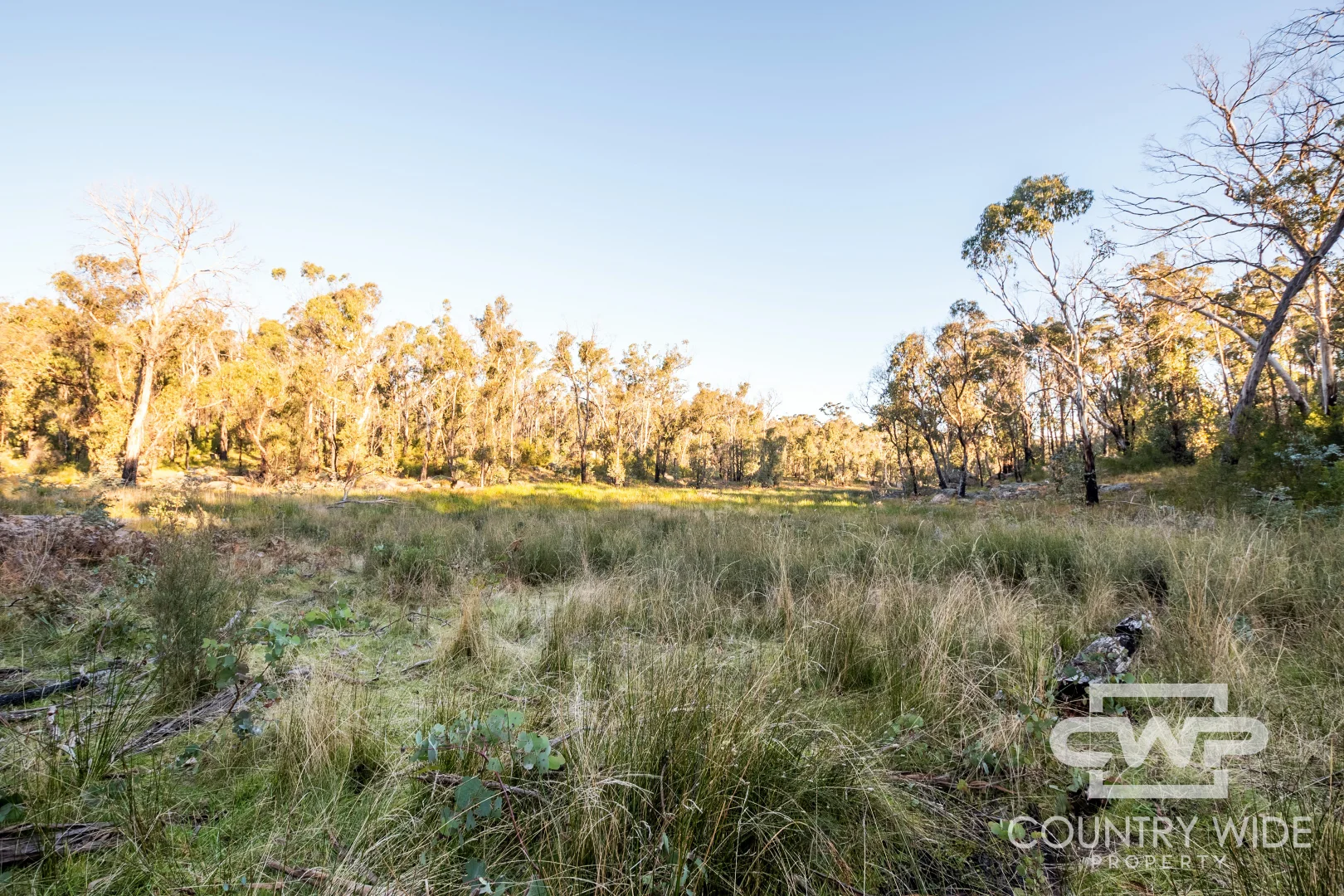 Additional image 16 of 2 Carrot Farm Road, Deepwater NSW 2371