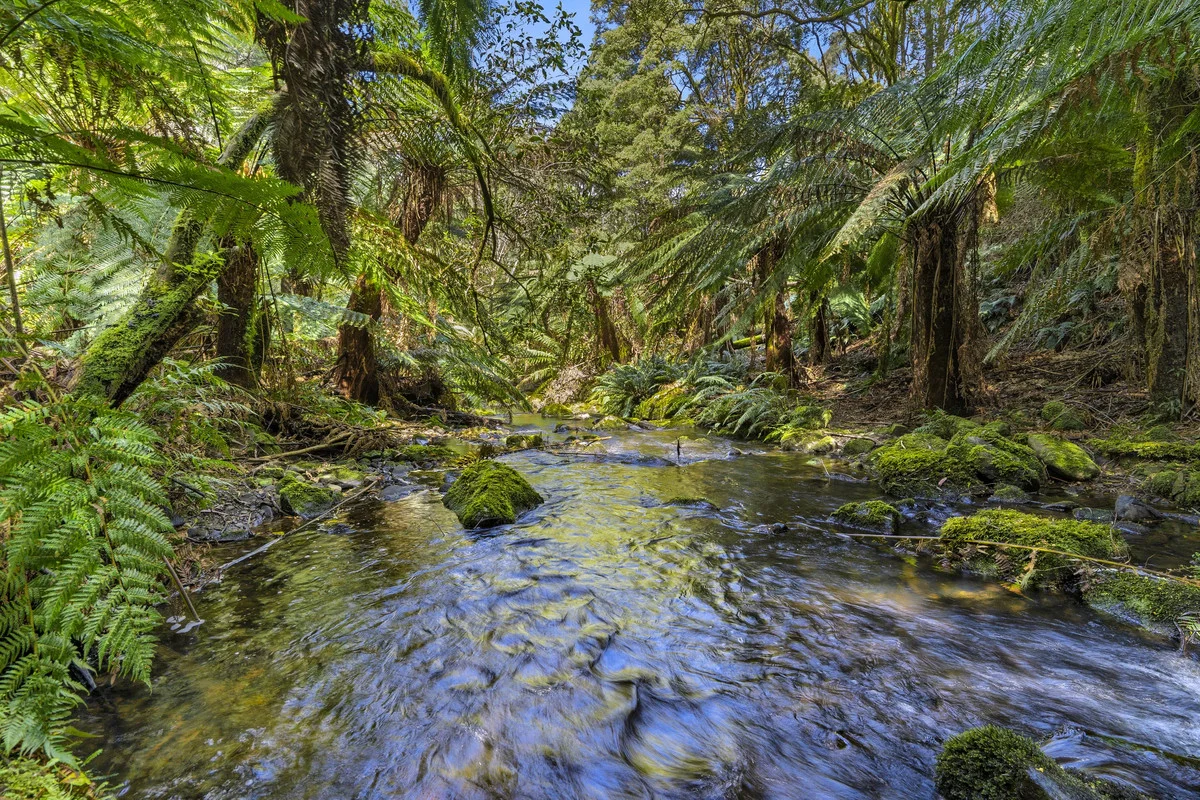 Additional image 3 of 675 Skenes Creek Road, Skenes Creek North VIC 3233