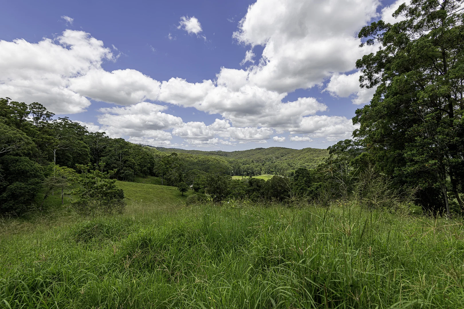 Additional image 44 of 492 River Road, Peachester QLD 4519