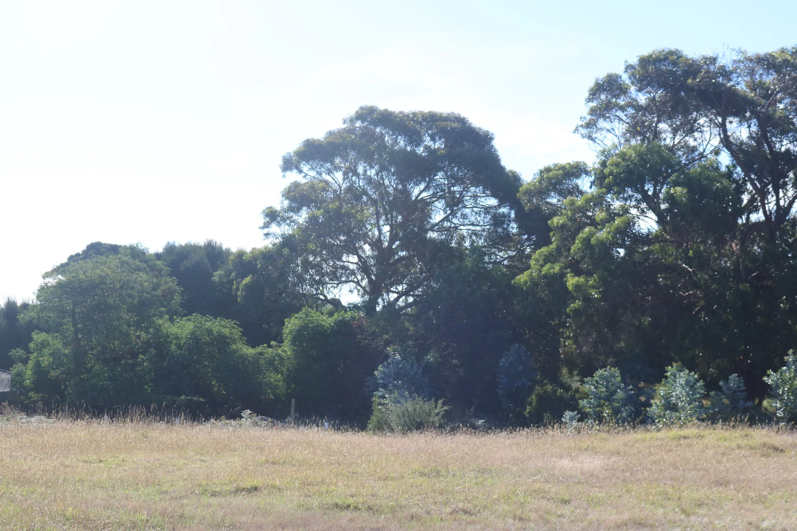 Additional image 9 of 4 Barr Street, Lady Barron TAS 7255