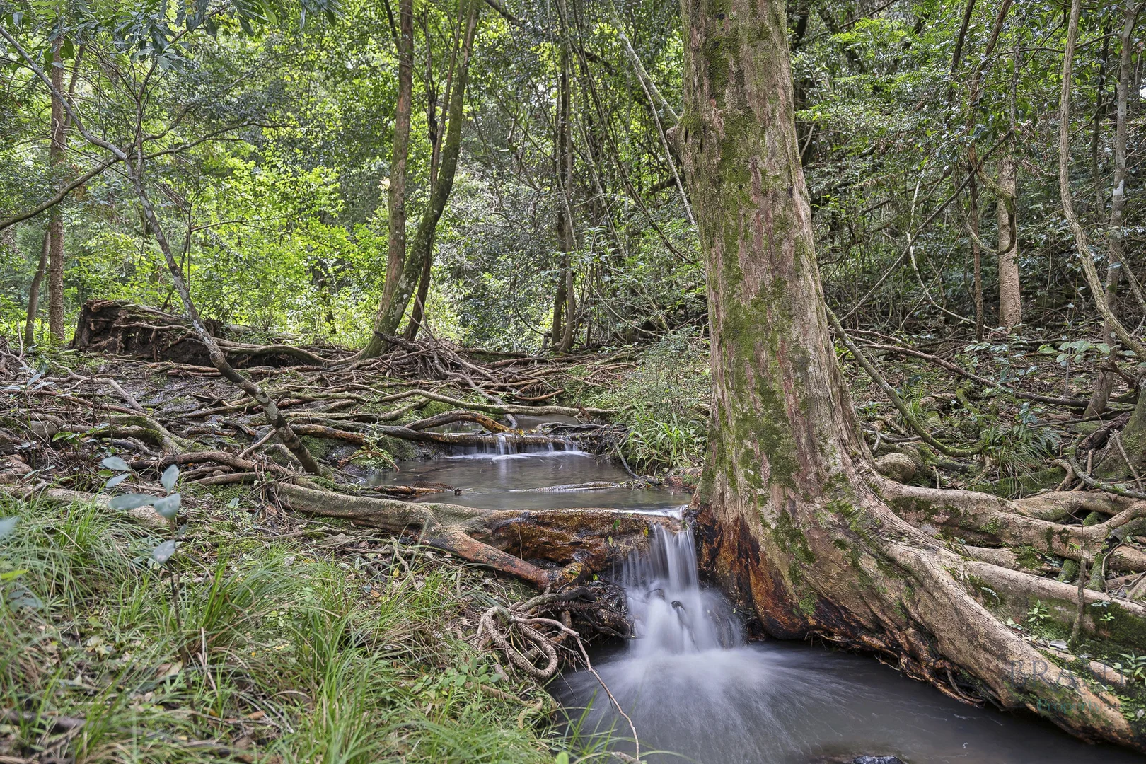 Additional image 10 of Dulong QLD 4560
