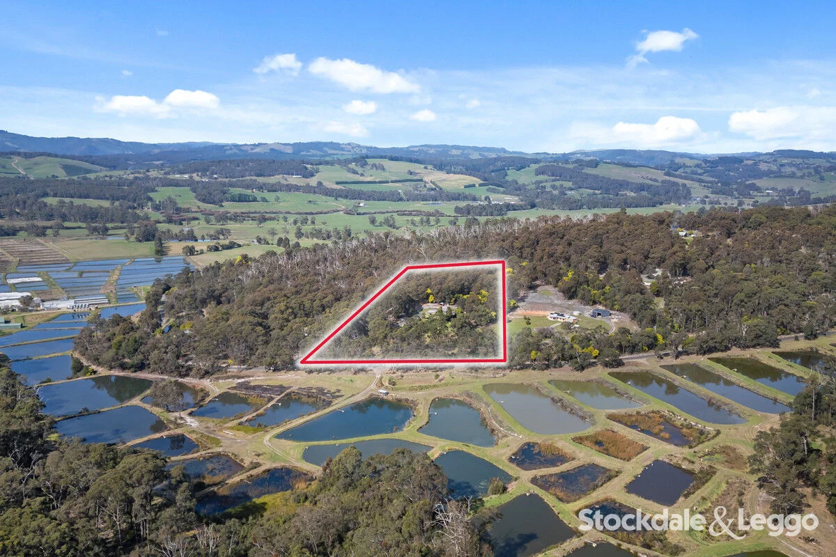 Additional image 27 of 55 MacIntoshs Road, Boolarra VIC 3870