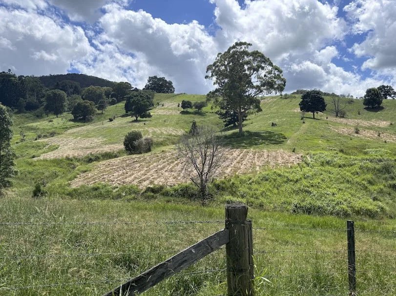 155 Vidoni Road, Mount Delaney QLD 4514