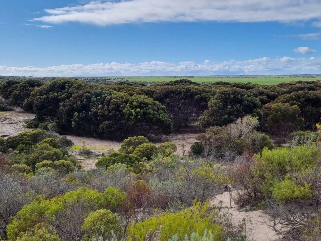 Additional image 13 of Parsons Beach SA 5575