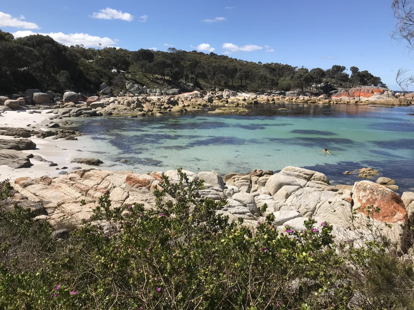 Additional image 5 of 15 Seaton Cove Road, Binalong Bay TAS 7216