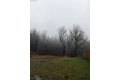 Additional image 22 of 154 Shipview Rd, Kalama, WA, 98625