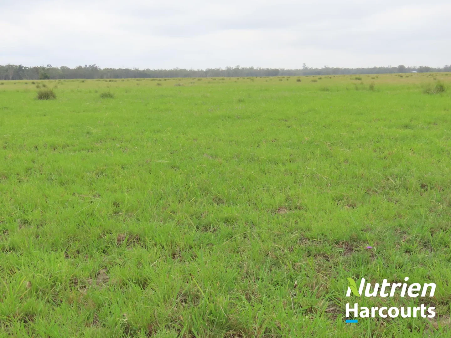 Additional image 28 of 2138 Burra Burri Creek Road, Chinchilla QLD 4413