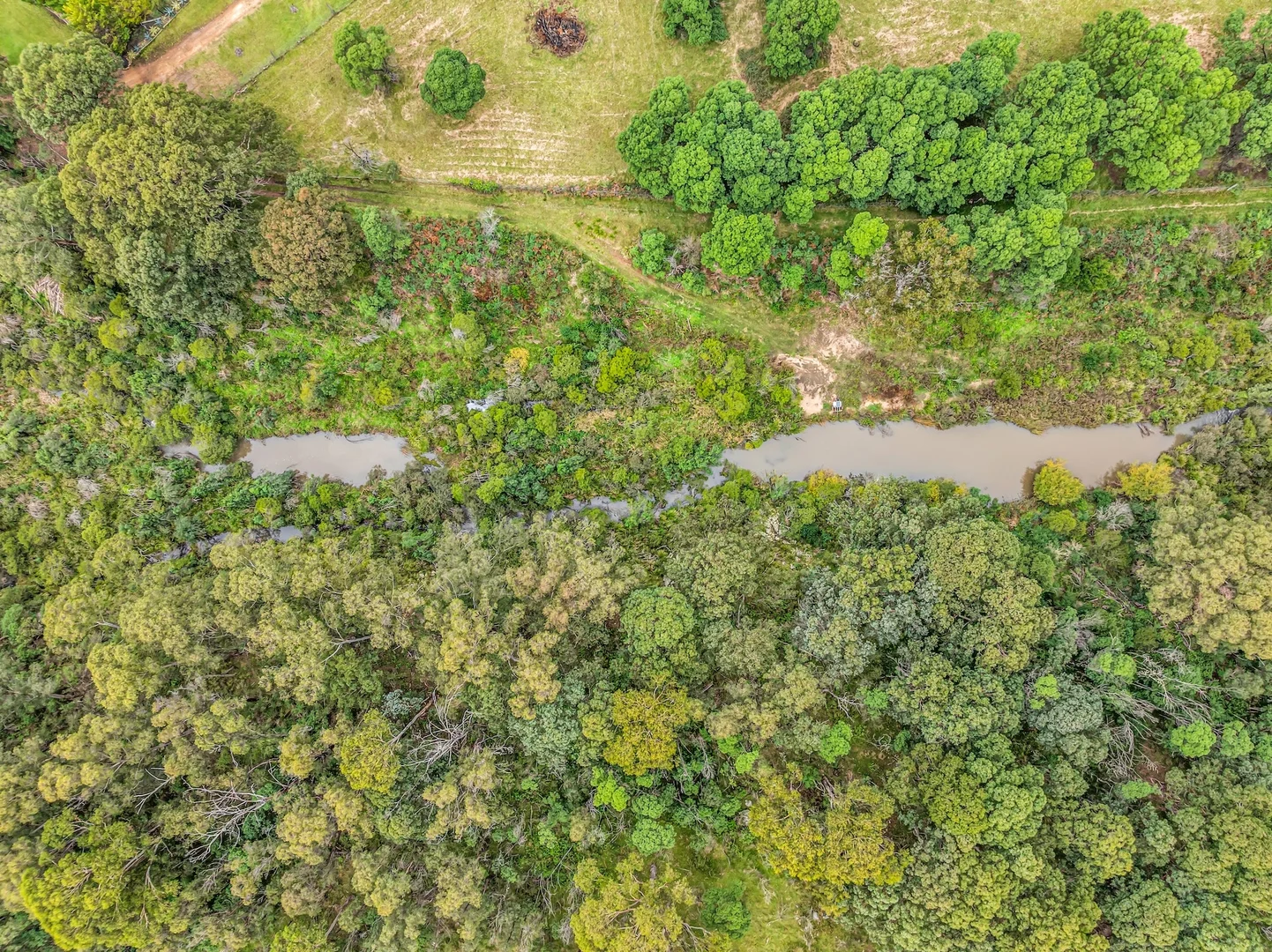 Additional image 26 of Lot 2&3 New Buildings Road, Wyndham NSW 2550