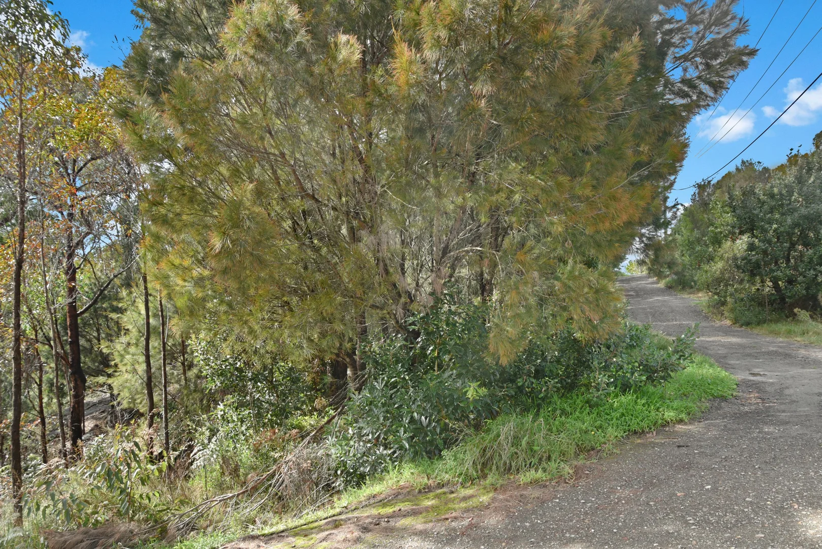 Additional image 8 of 22 Gascoigne Street, Willow Vale NSW 2575