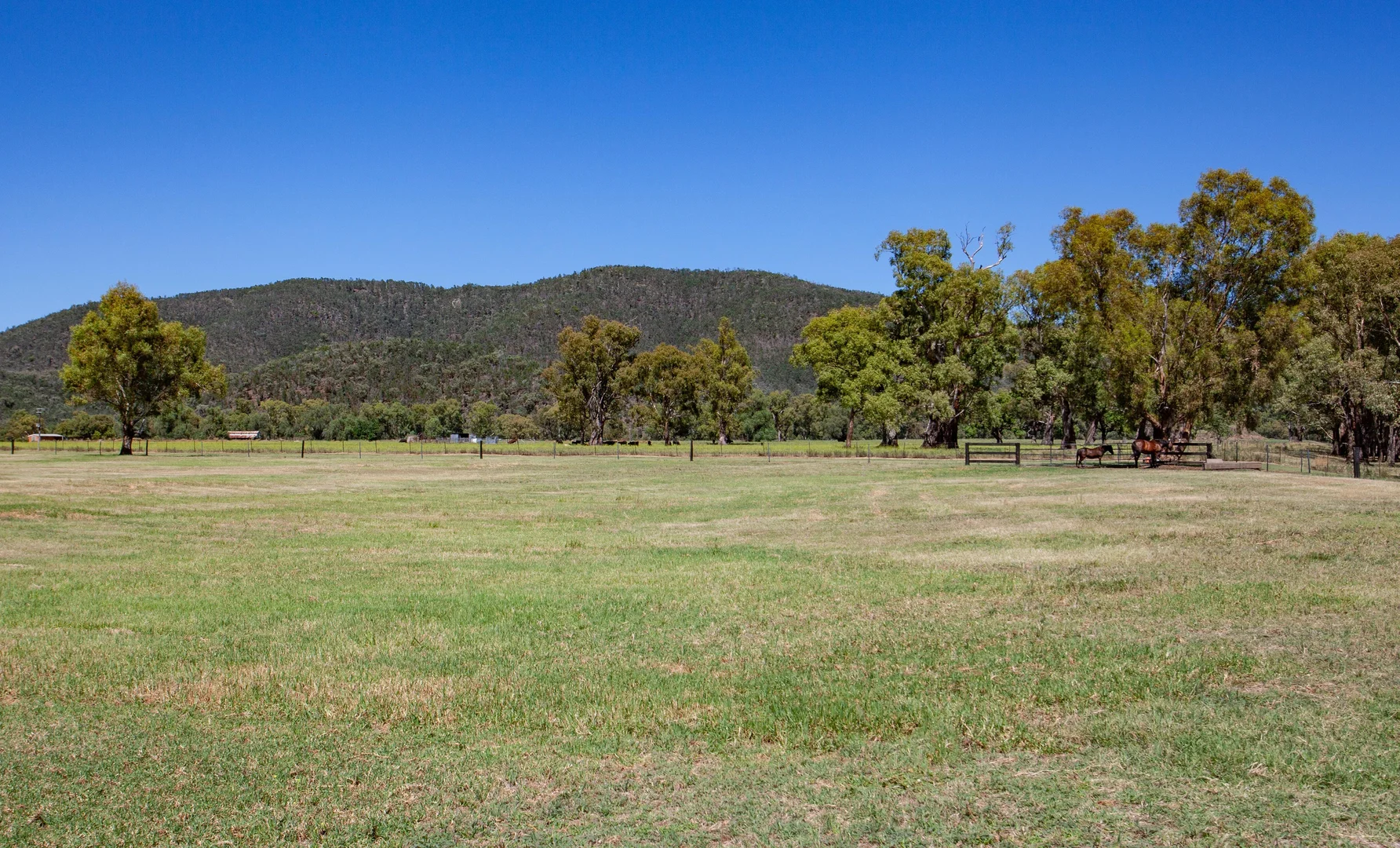 Additional image 17 of 57 Gipps Street, Wellington NSW 2820