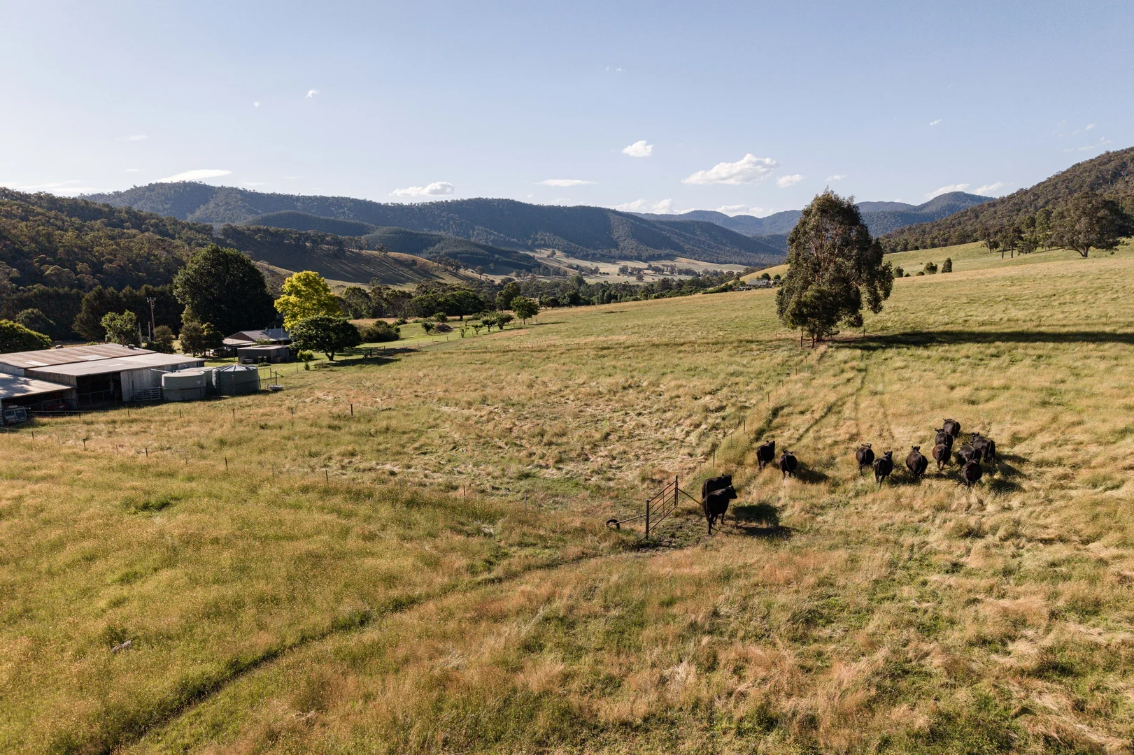 Additional image 20 of 495 Kancoona South Road, Kancoona VIC 3691