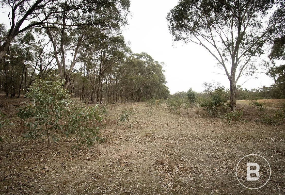 Additional image 6 of 163 Kicks Lane, Dunolly VIC 3472