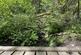 Additional image 4 of Waungilwen, Drefach-Velindre SA44