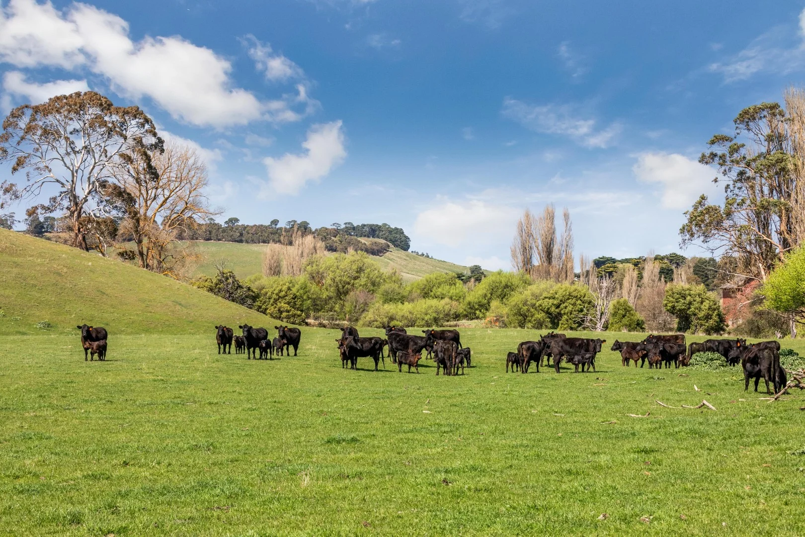 75 Greenhills Road, Greendale VIC 3341