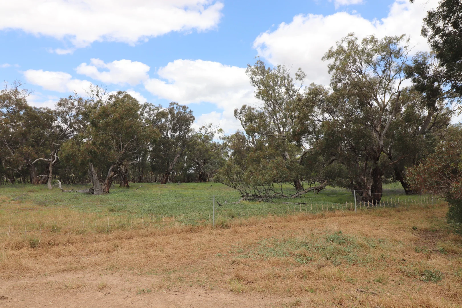 Additional image 9 of 'East Gathan' 509 Gathan Road, Deniliquin NSW 2710